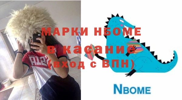 молекула духа Лабытнанги