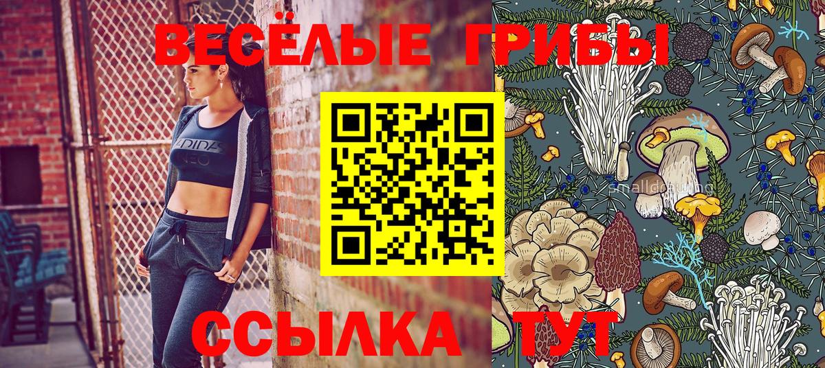 Псилоцибиновые грибы Psilocybine cubensis  Вход с VPN  Кызыл 