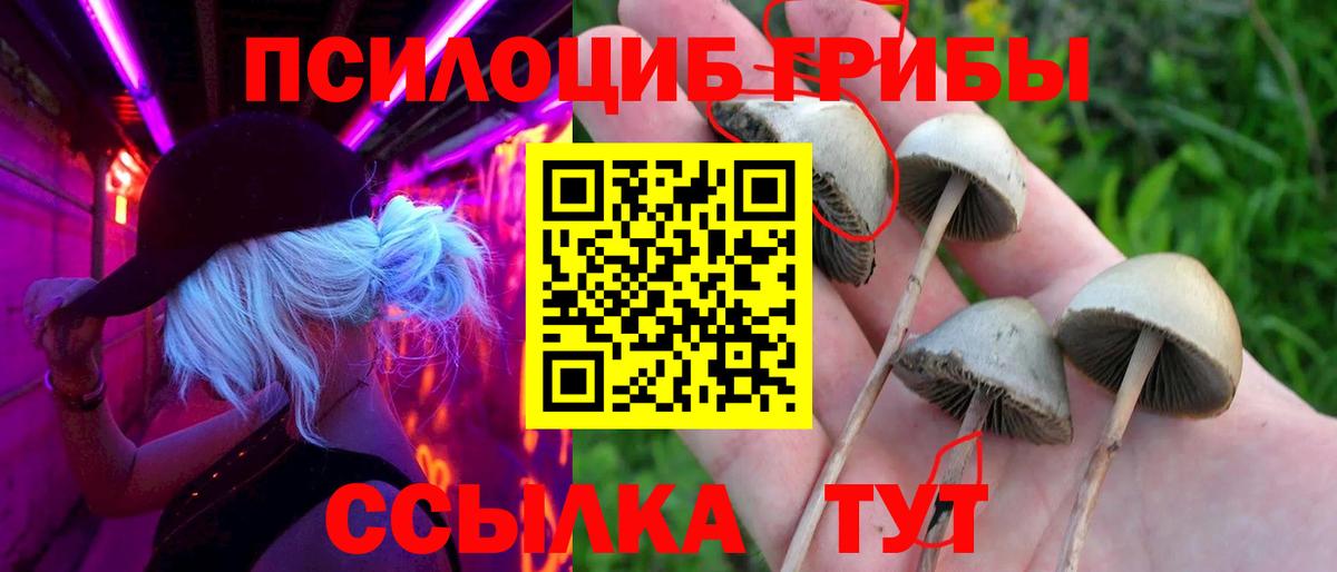 Кызыл  Бошки Шишки  Cocaine  Хэш  Вход с VPN  Мяу-Мяу  МДМА  Метамфетамин 