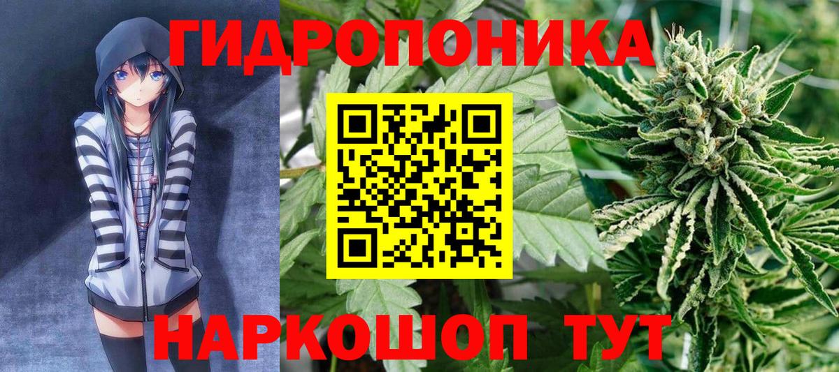 ГАШ Кызыл
